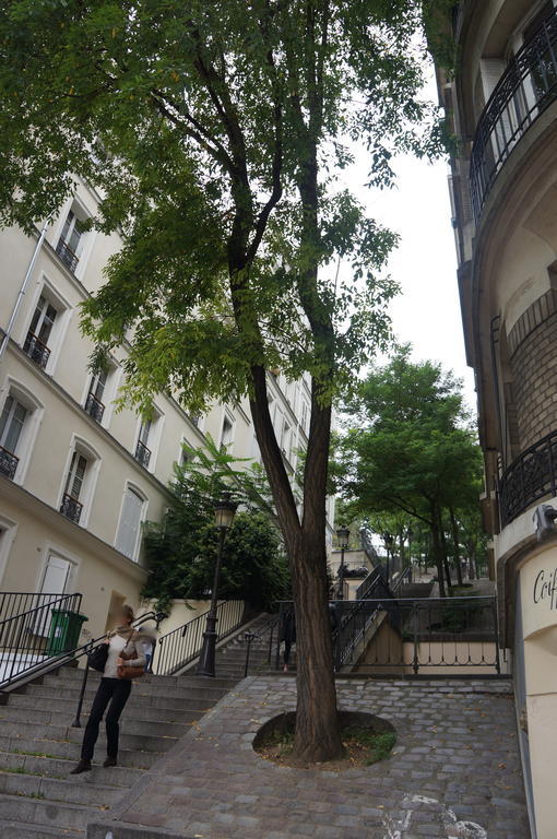 Studios De Charme A Montmartre Paryż Zewnętrze zdjęcie
